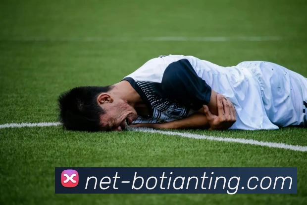 博天堂平台生态图